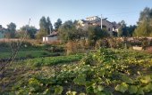 Sale, Land plot, 6 ares, Bryukhovychi, Lviv region